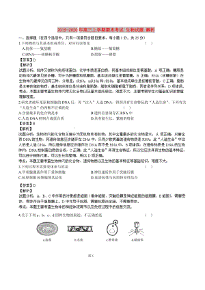 2019-2020年高三上學(xué)期期末考試 生物試題 解析.doc