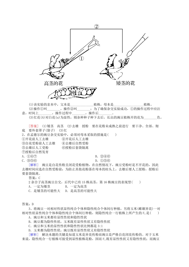 2019-2020年高三生物 2.2孟德尔的豌豆杂交实验（1）复习试题.doc_第3页