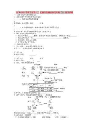 2019-2020年高三生物 2.2孟德爾的豌豆雜交實驗（1）復(fù)習(xí)試題.doc