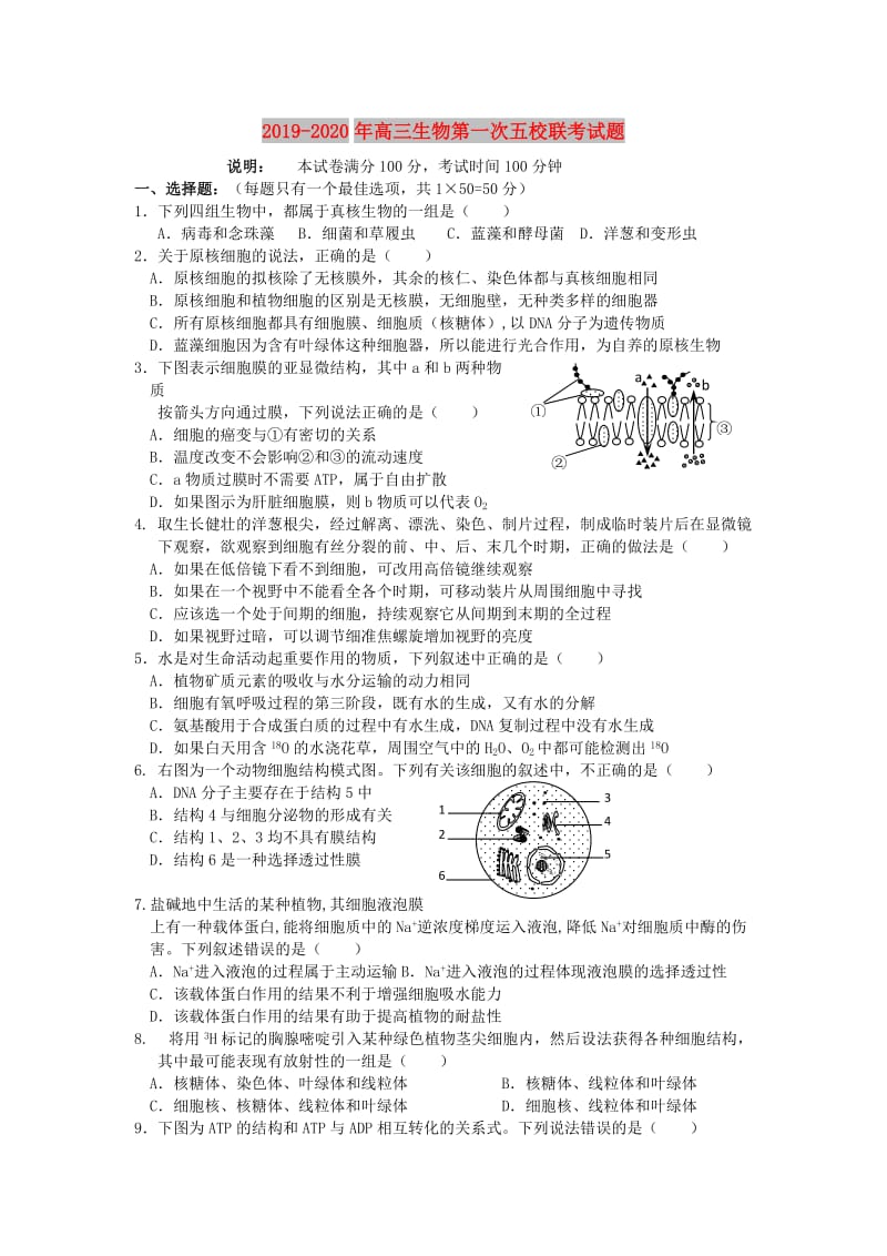 2019-2020年高三生物第一次五校联考试题.doc_第1页