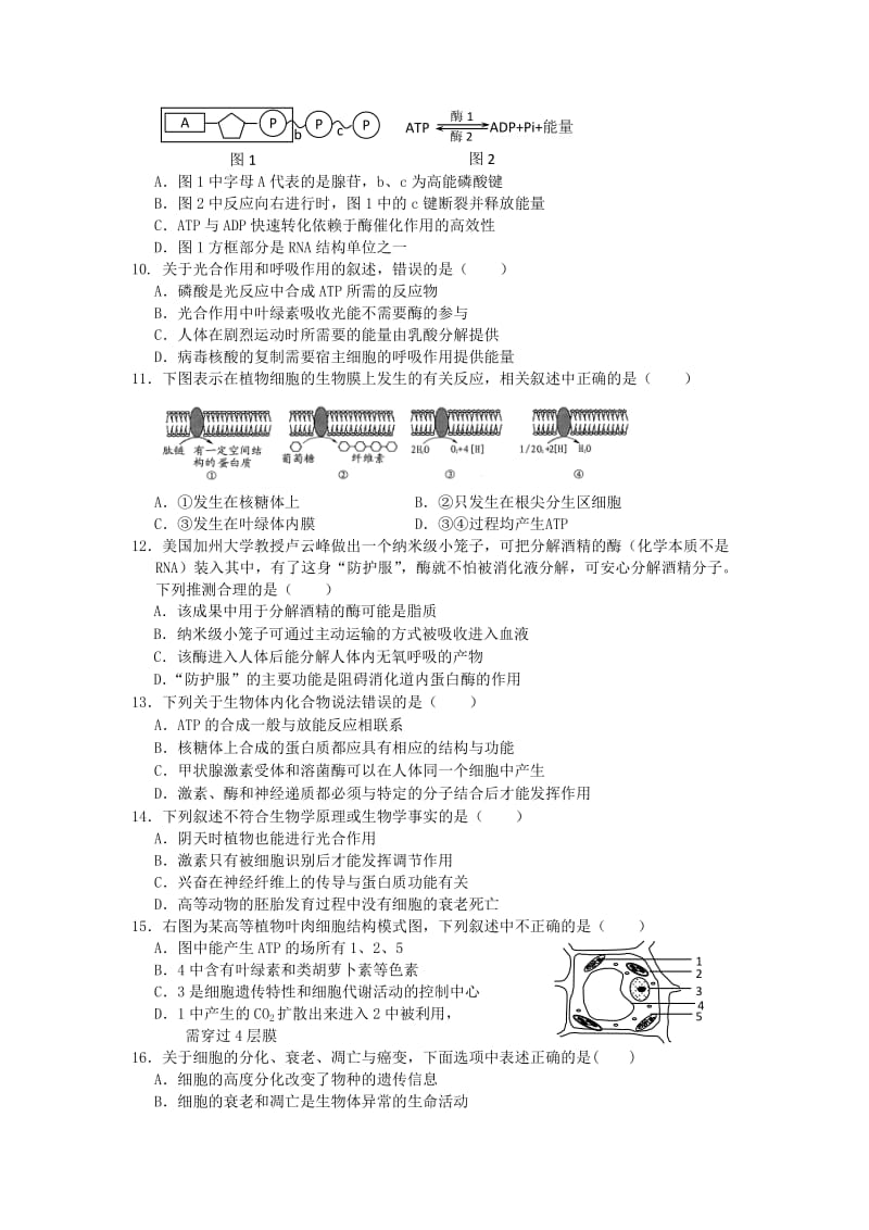 2019-2020年高三生物第一次五校联考试题.doc_第2页