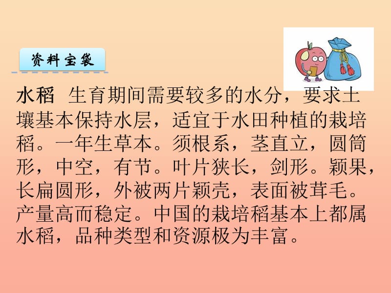 2019年秋季版一年级语文上册第10单元小母鸡种稻子课件1北师大版.ppt_第2页