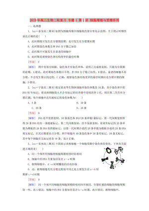 2019年高三生物二輪復(fù)習(xí) 專題3 第1講 細(xì)胞增殖與受精作用.doc