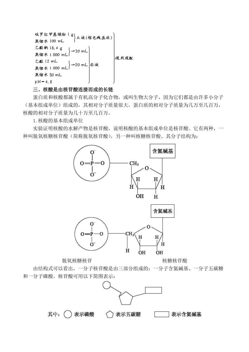 2019-2020年高中生物 2.3 遗传信息的携带者 核酸知识点归纳 新人教版必修1.doc_第2页