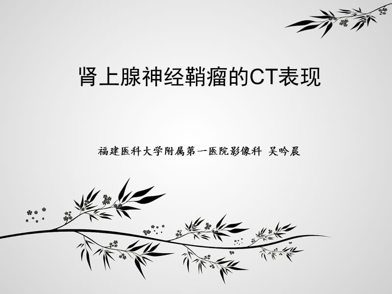 肾上腺神经鞘瘤的ct表现ppt课件.ppt_第1页