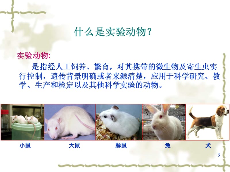 实验动物管理与法规课件.ppt_第3页