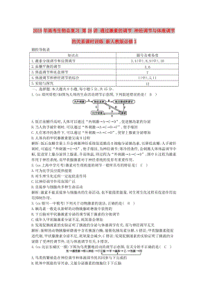 2019年高考生物總復(fù)習(xí) 第28講 通過激素的調(diào)節(jié) 神經(jīng)調(diào)節(jié)與體液調(diào)節(jié)的關(guān)系課時訓(xùn)練 新人教版必修3.doc