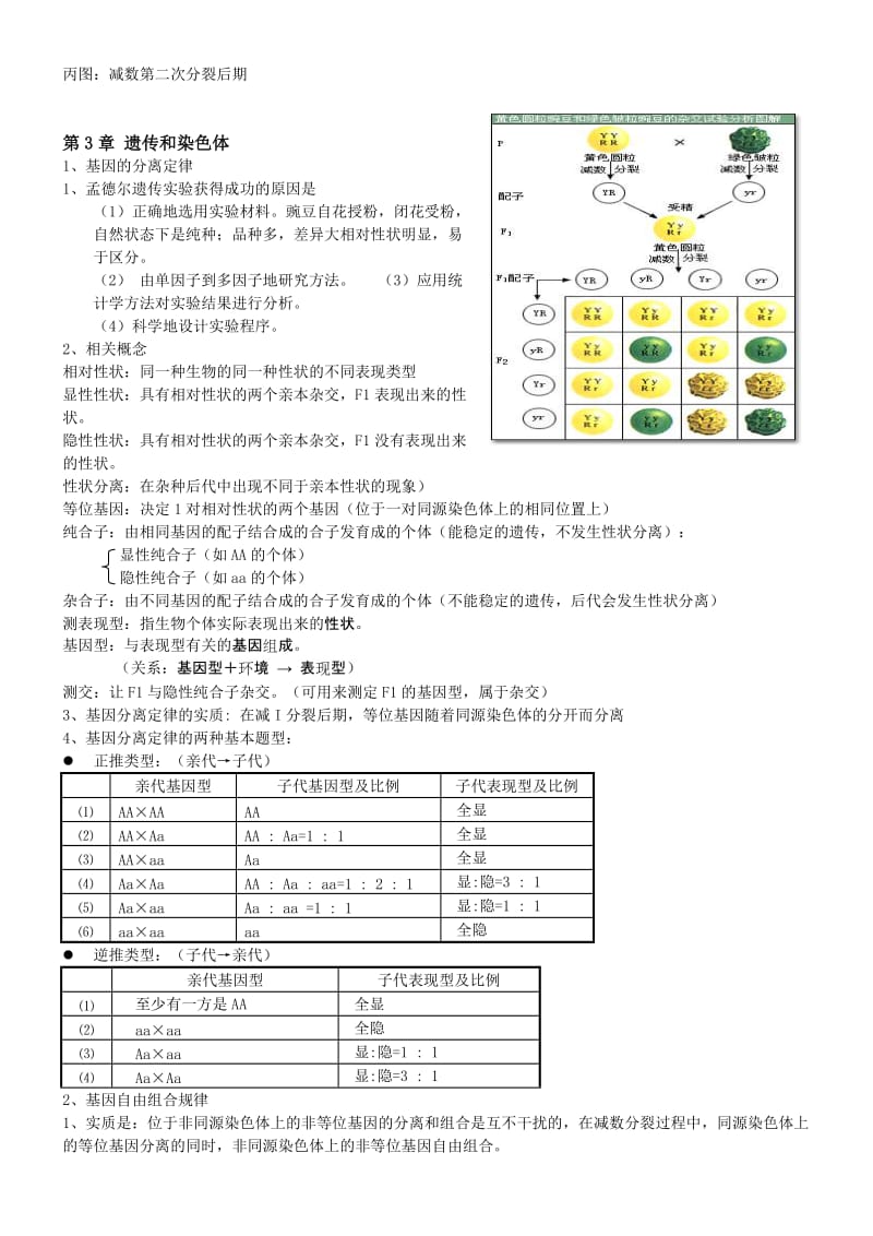 2019-2020年高中生物 学业水平测试 苏教版必修2.doc_第3页