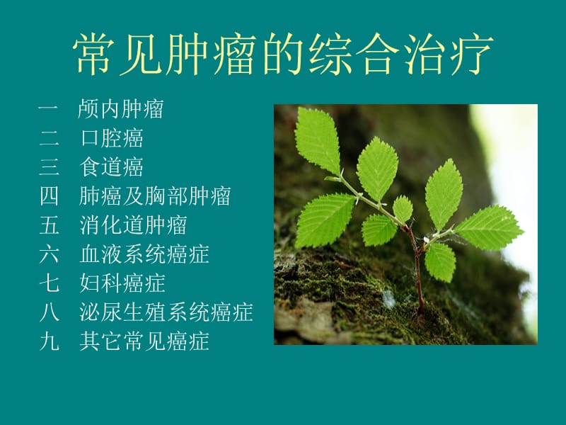 常见肿瘤的综合治疗.ppt_第1页