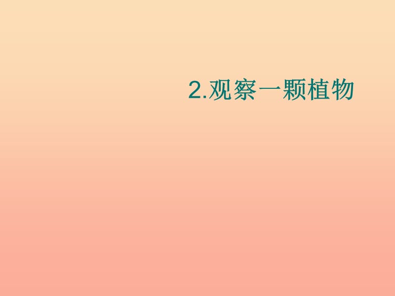 2019一年级科学上册 1.2 观察一棵植物课件2 教科版.ppt_第1页