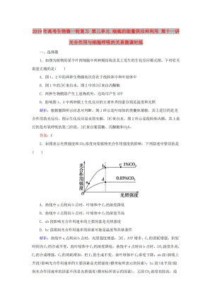 2019年高考生物微一輪復(fù)習(xí) 第三單元 細(xì)胞的能量供應(yīng)和利用 第十一講 光合作用與細(xì)胞呼吸的關(guān)系微課時(shí)練.doc