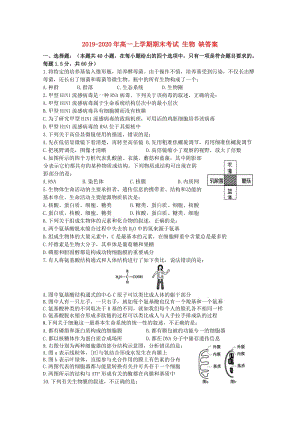 2019-2020年高一上學期期末考試 生物 缺答案.doc