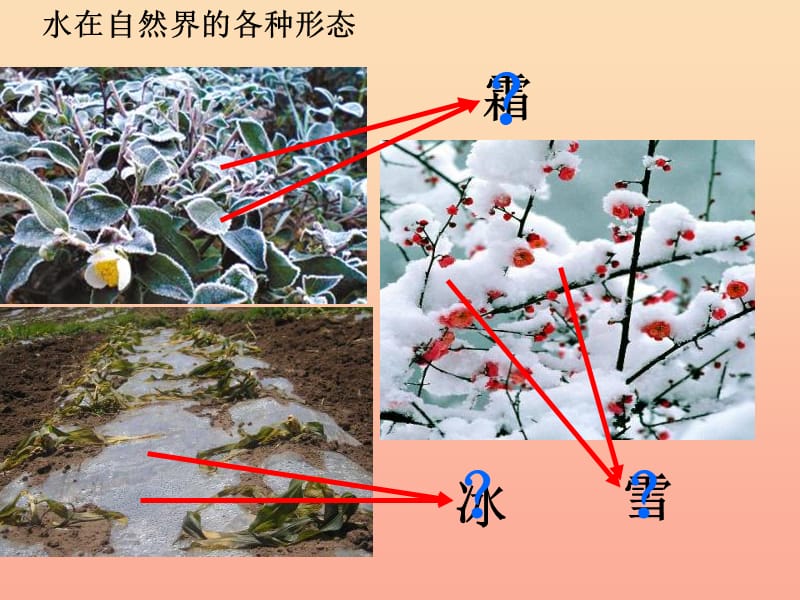 2019年四年级科学上册 第16课 水的三态变化课件1 青岛版五四制.ppt_第3页