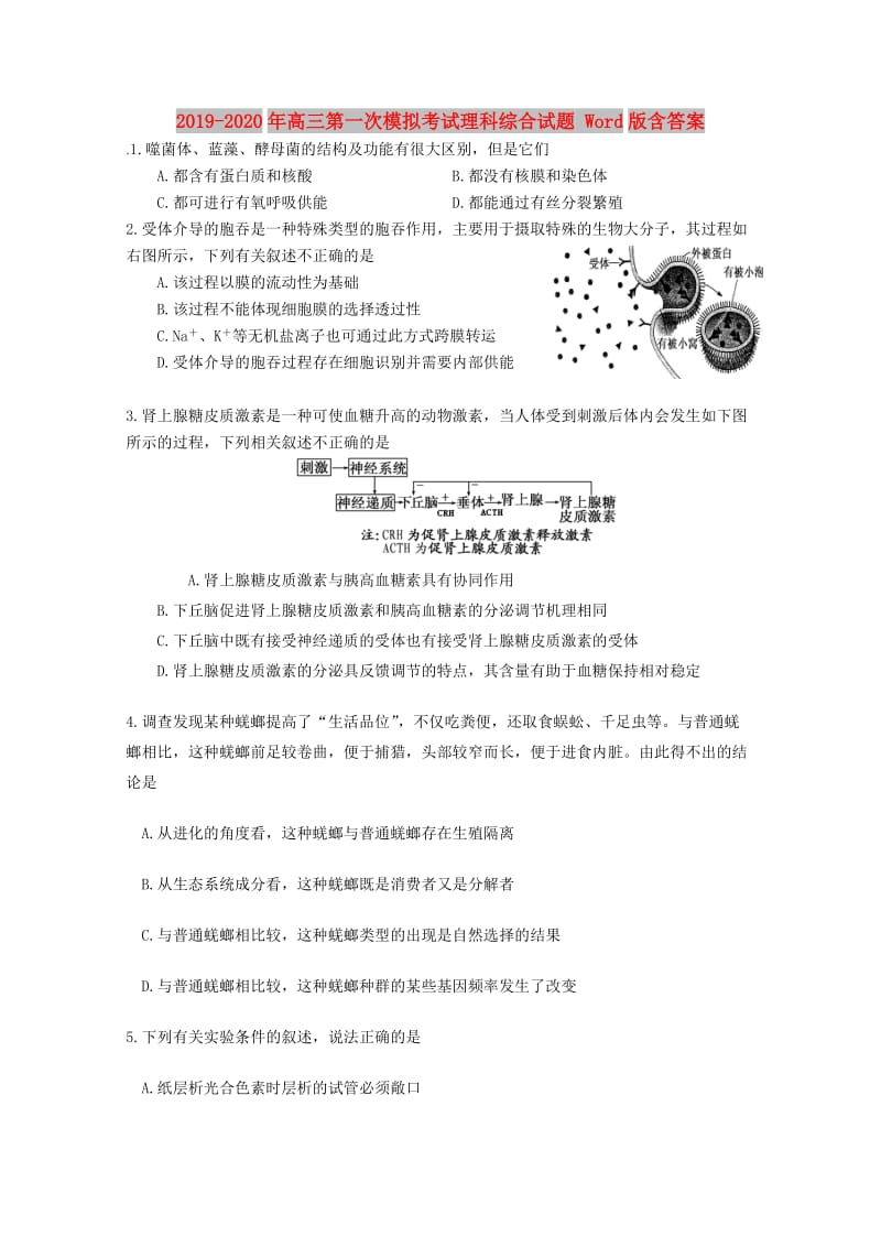 2019-2020年高三第一次模拟考试理科综合试题 Word版含答案.doc_第1页