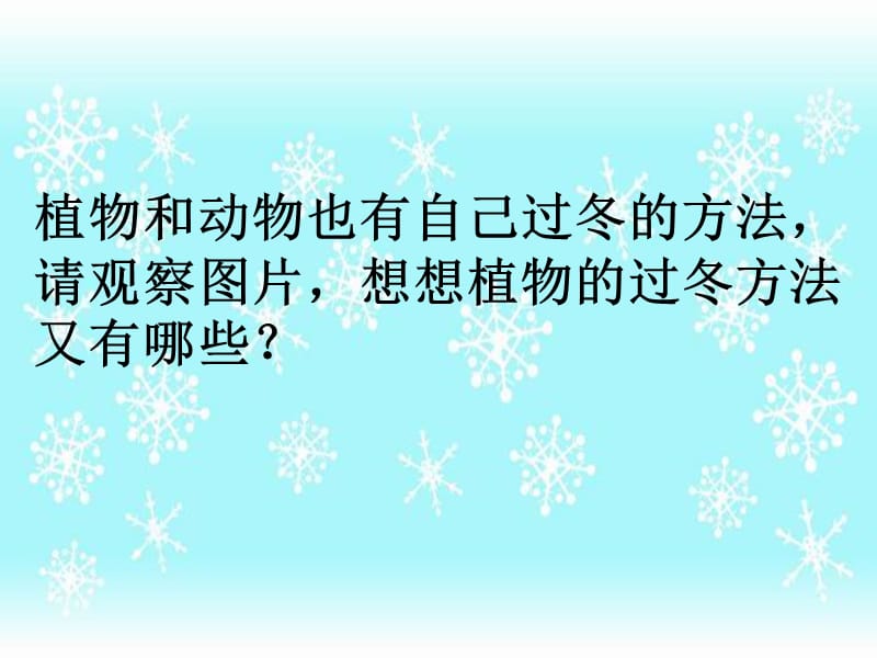 2019六年级科学上册 第20课 动植物是怎样过冬的课件3 鄂教版.ppt_第3页