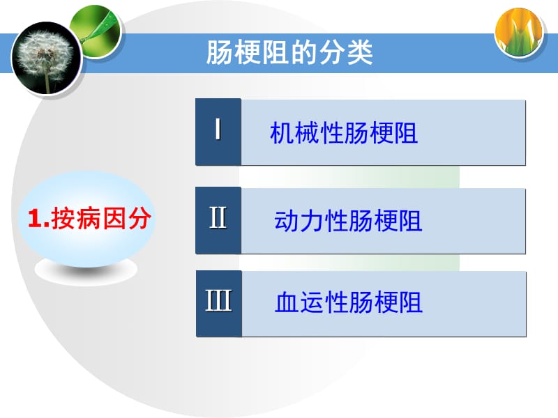 肠梗阻的分型护理ppt课件.ppt_第3页