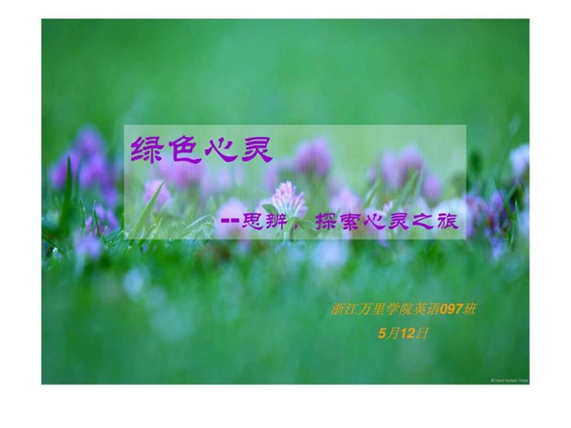 树立正确价值观主题班会.ppt_第1页