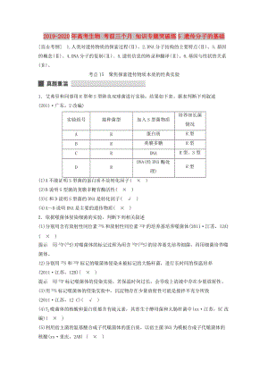 2019-2020年高考生物 考前三個(gè)月 知識(shí)專題突破練5 遺傳分子的基礎(chǔ).doc