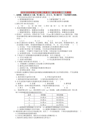 2019-2020年高三生物二輪復習 綜合訓練二 人教版.doc