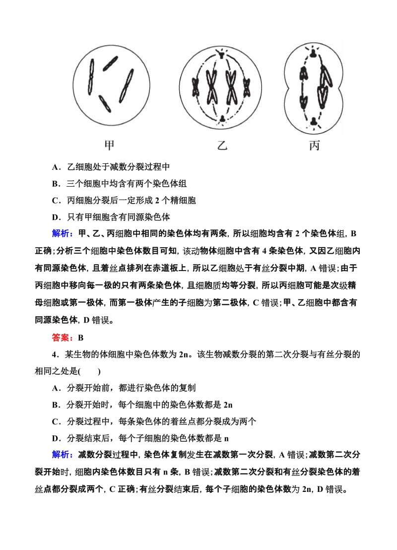 2019-2020年高考生物限时规范特训：第14讲 减数分裂和受精作用.doc_第2页