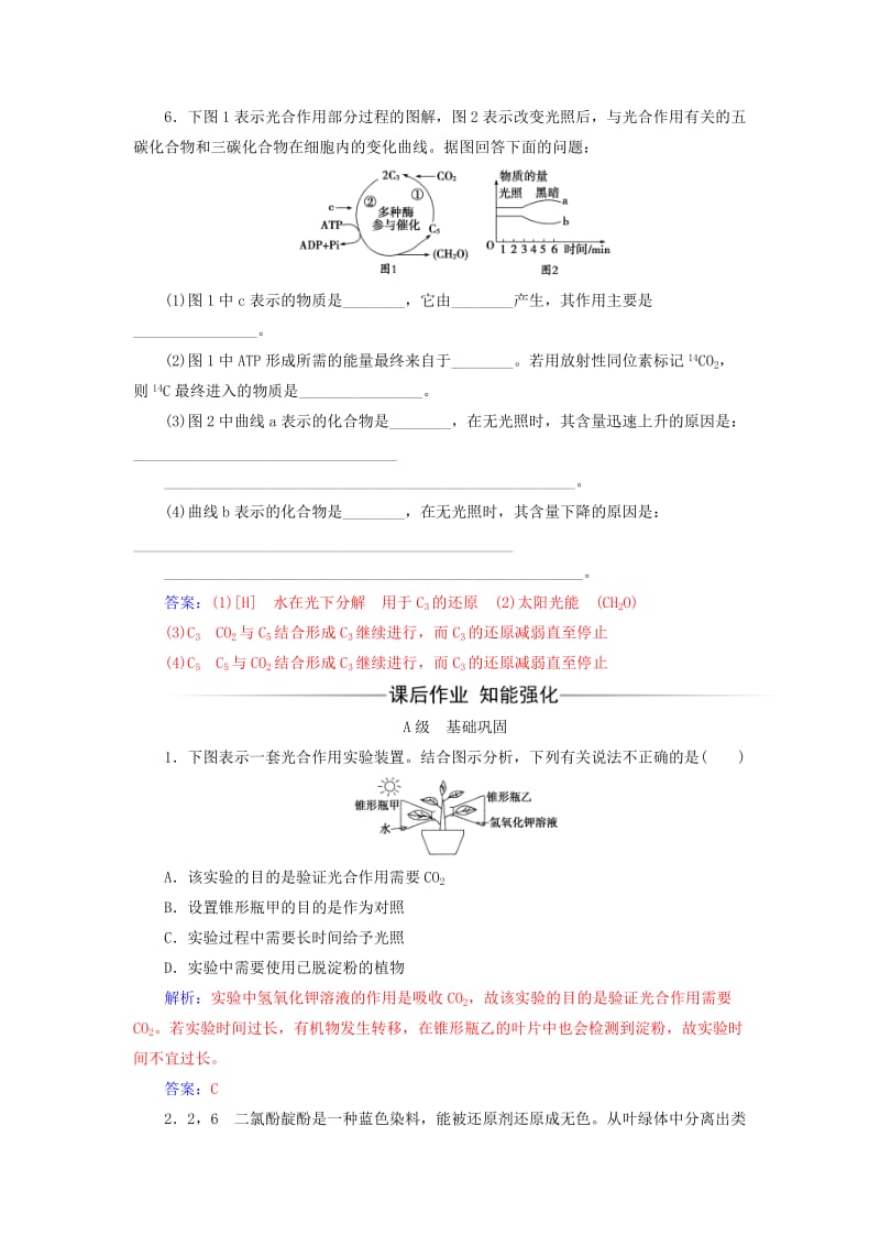 2019-2020年高中生物第5章细胞的能量供应和利用第4节光合作用的探究历程和过程第2课时练习新人教版.doc_第2页