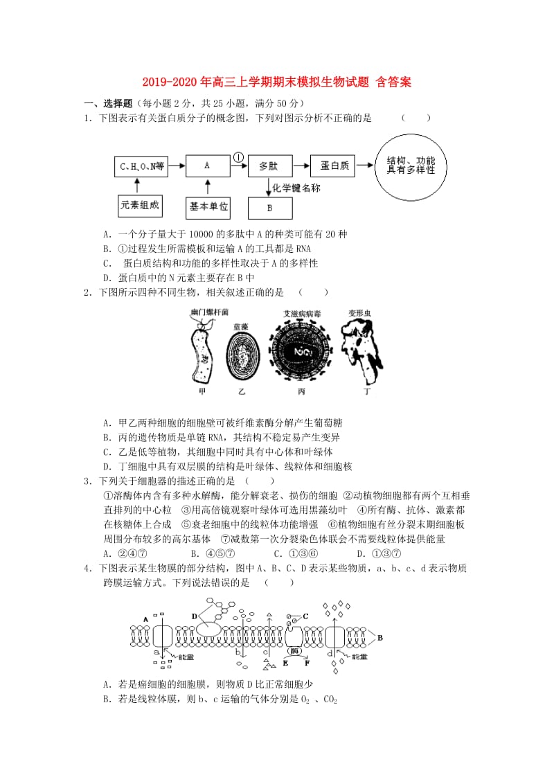 2019-2020年高三上学期期末模拟生物试题 含答案.doc_第1页