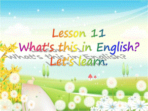 2019年四年級英語上冊 Lesson 11 What’s this in English課件1 科普版.ppt