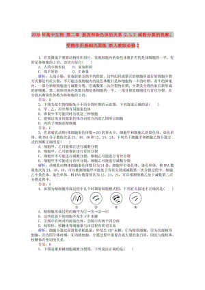 2019年高中生物 第二章 基因和染色體的關(guān)系 2.1.3 減數(shù)分裂的觀察、受精作用基礎(chǔ)鞏固練 新人教版必修2.doc