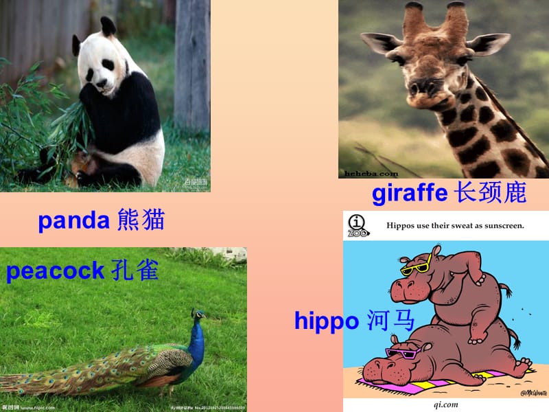 2019春五年级英语下册 Unit 2《A visit to the Zoo》（Part A）课件2 （新版）闽教版.ppt_第3页