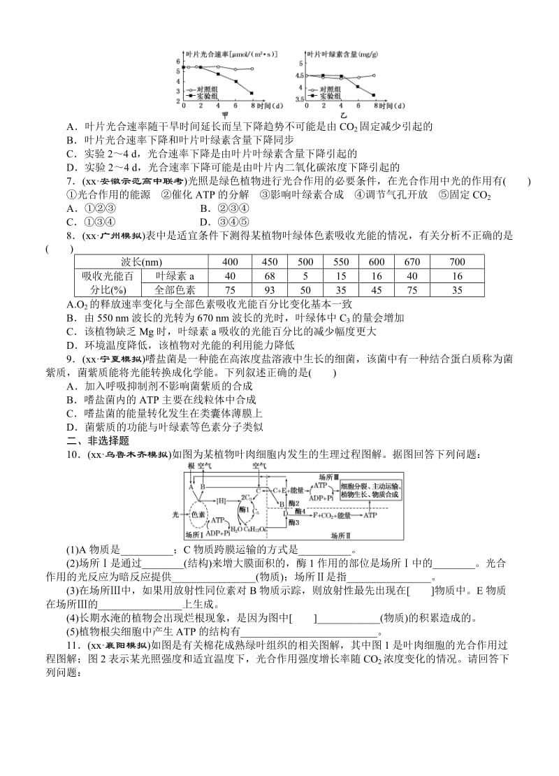 2019-2020年高考生物一轮课下限时集训：12光合作用.doc_第2页