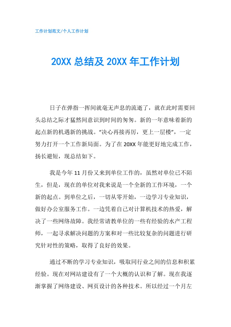 20XX总结及20XX年工作计划.doc_第1页