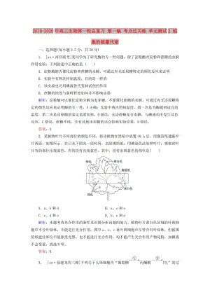 2019-2020年高三生物第一輪總復(fù)習(xí) 第一編 考點過關(guān)練 單元測試2 細胞的能量代謝.doc