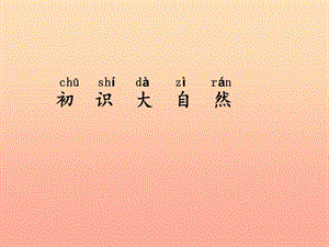 2019一年級(jí)科學(xué)上冊(cè) 第二單元 第1課 初識(shí)大自然課件1 湘科版.ppt