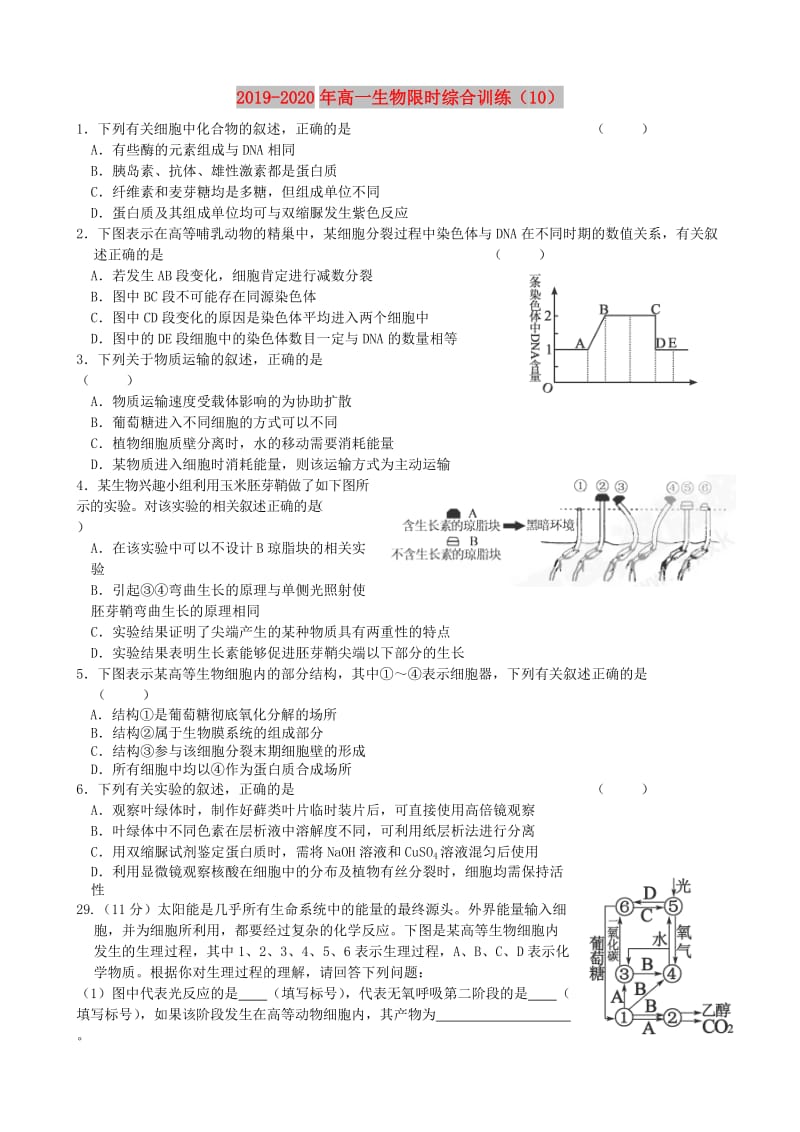 2019-2020年高一生物限时综合训练（10）.doc_第1页