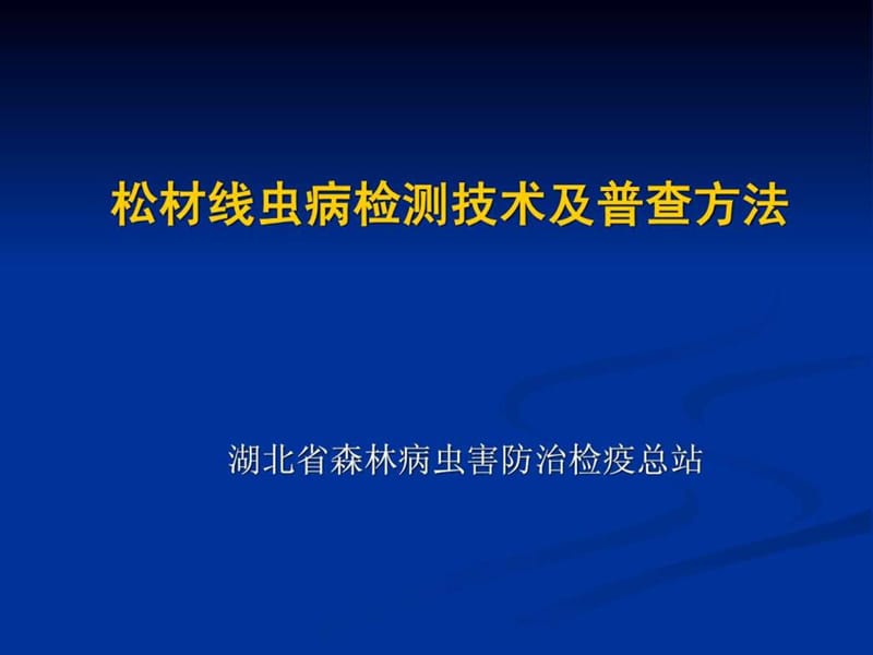 松材线虫病检测技术及普查方法.ppt_第1页