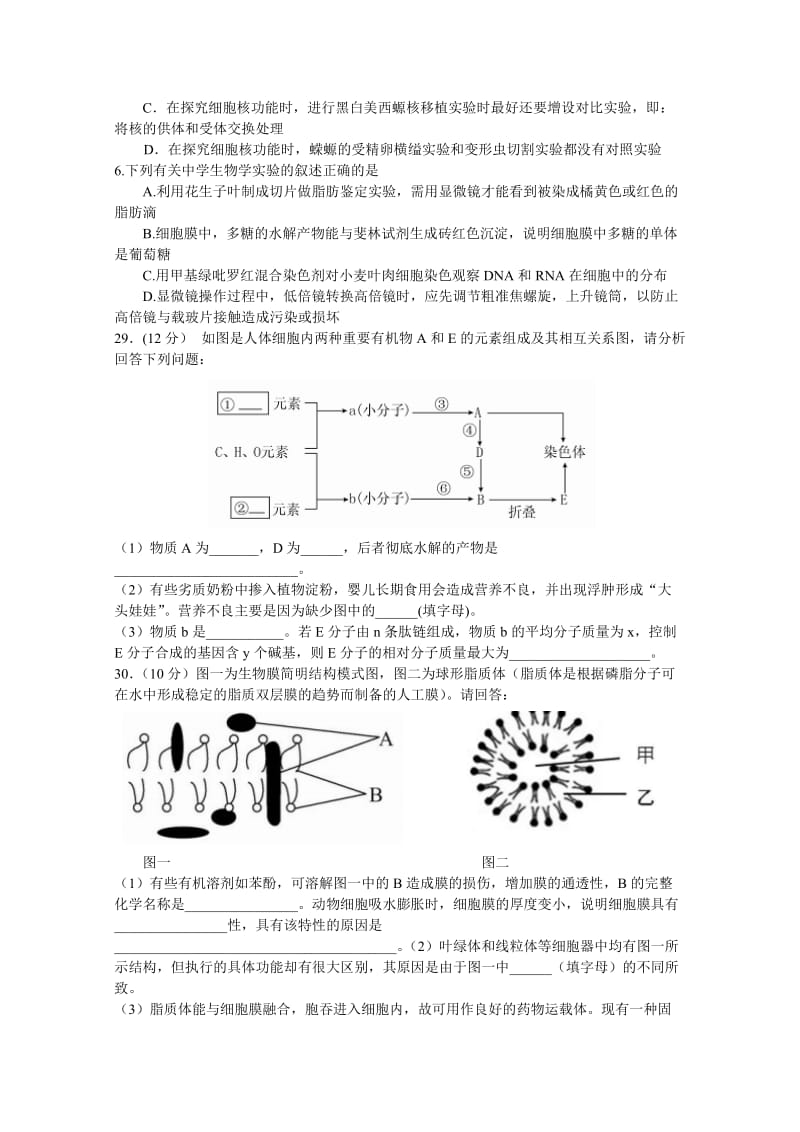 2019-2020年高三上学期10月月考生物试卷 含答案.doc_第2页