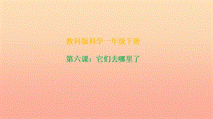 2019一年級科學下冊 我們周圍的物體 1.6《它們?nèi)ツ睦锪恕氛n件 教科版.ppt