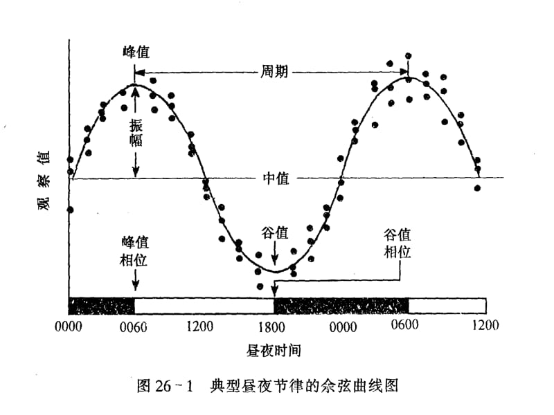 时间药理学概论ppt课件_第3页