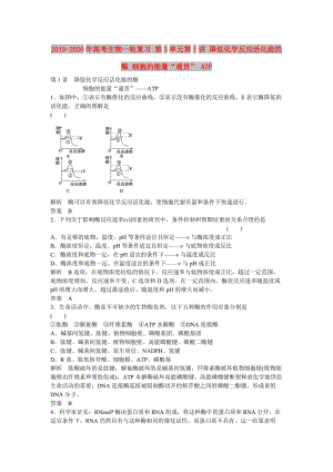 2019-2020年高考生物一輪復(fù)習(xí) 第3單元第1講 降低化學(xué)反應(yīng)活化能的酶 細(xì)胞的能量“通貨” ATP.doc