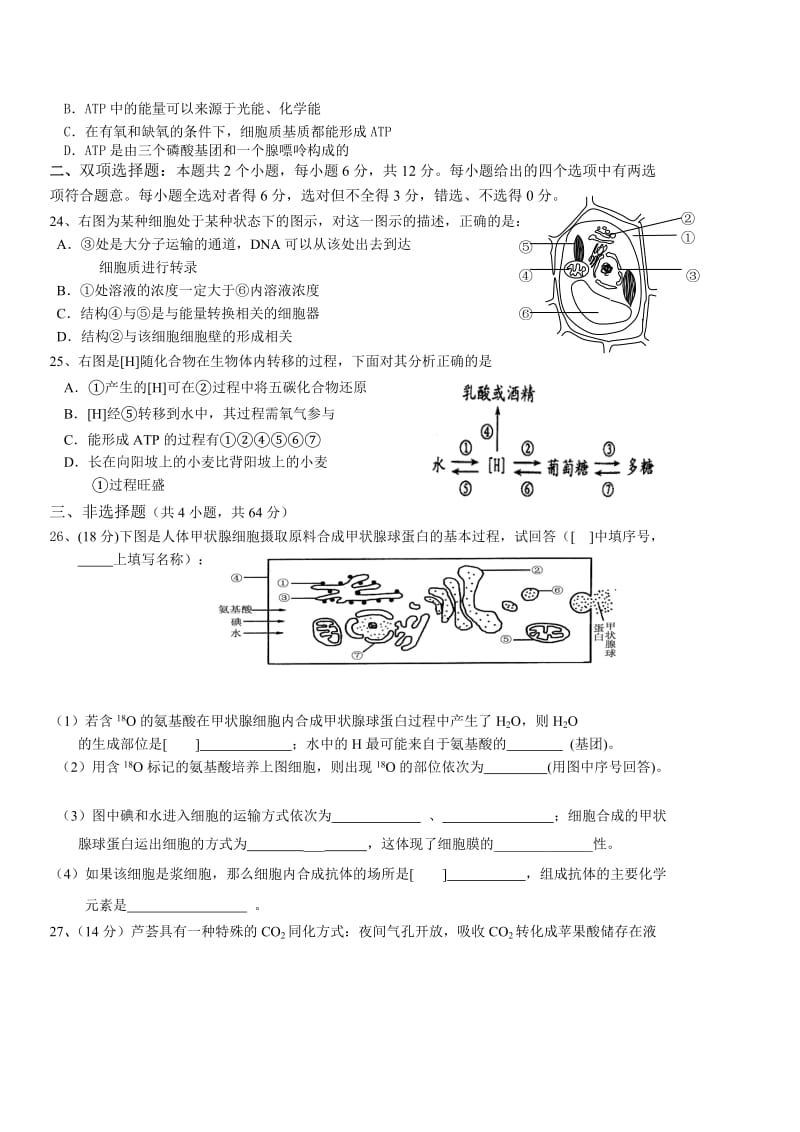 2019-2020年高三第一次阶段考试题生物.doc_第2页