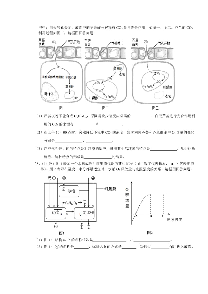 2019-2020年高三第一次阶段考试题生物.doc_第3页