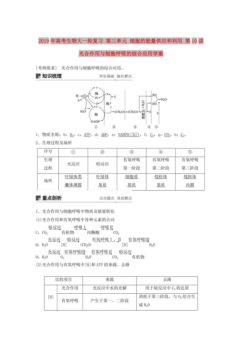 2019年高考生物大一轮复习 第三单元 细胞的能量供应和利用 第10讲 光合作用与细胞呼吸的综合应用学案.doc_第1页