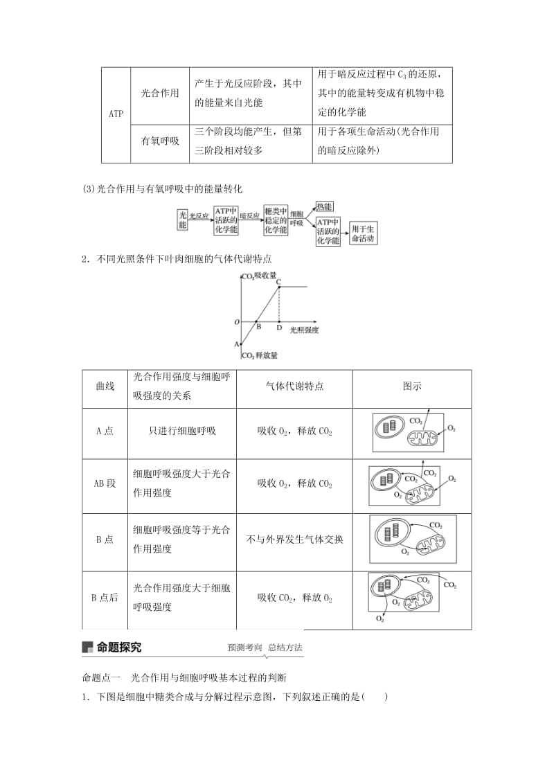 2019年高考生物大一轮复习 第三单元 细胞的能量供应和利用 第10讲 光合作用与细胞呼吸的综合应用学案.doc_第2页