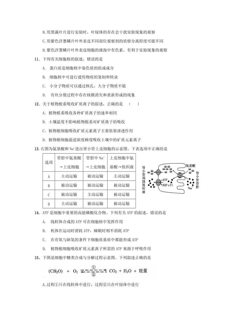 2019-2020年高三生物第一次模拟考试试题新人教版.doc_第3页