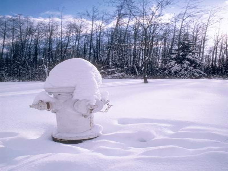 2019年秋一年级语文上册《雪地里的小画家》课件1 北师大版.ppt_第2页