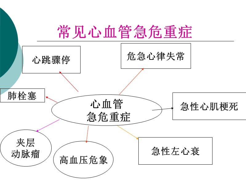 心血管危急重症的观察与护理章锡林ppt课件.ppt_第3页