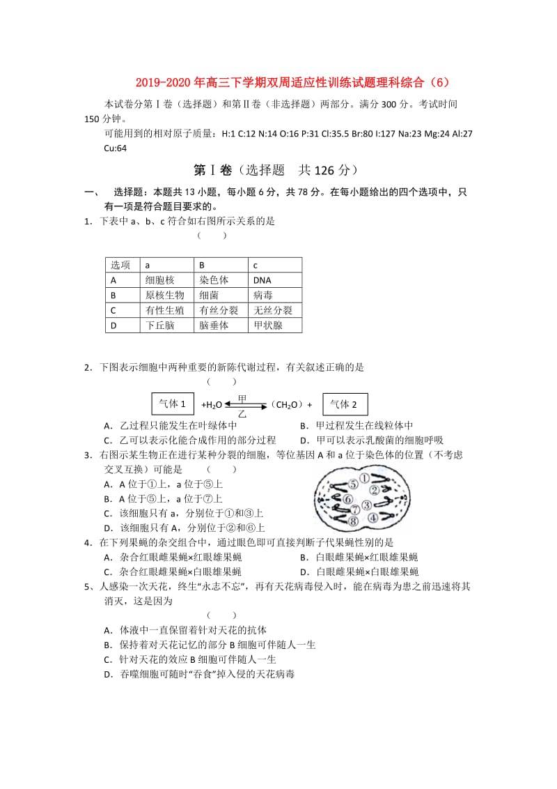 2019-2020年高三下学期双周适应性训练试题理科综合（6）.doc_第1页