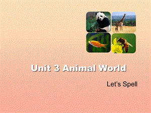 2019六年級英語上冊 Unit 3 Animal World（Let’s Spell）課件 人教新起點.ppt