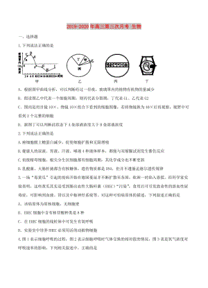 2019-2020年高三第三次月考 生物.doc