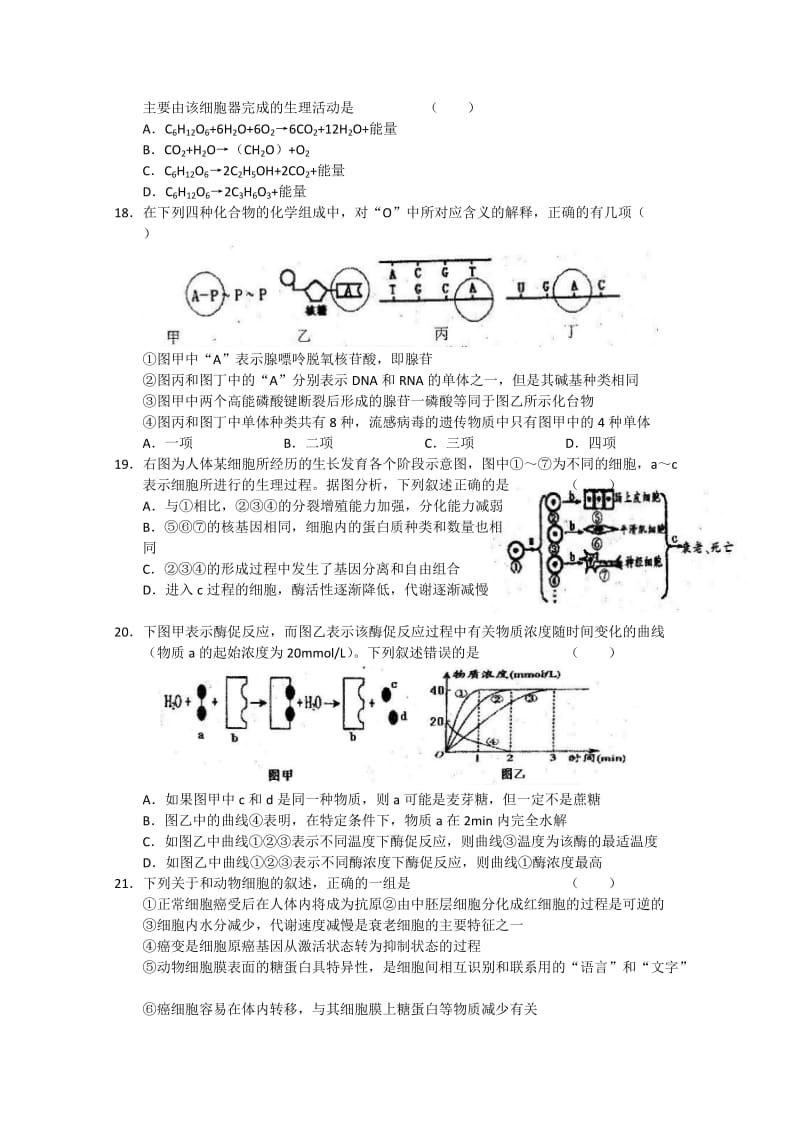 2019-2020年高三第二次月考 生物试题 word版.doc_第3页